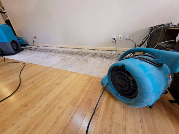 Professional Water Damage Repair technician working in Naples, UT